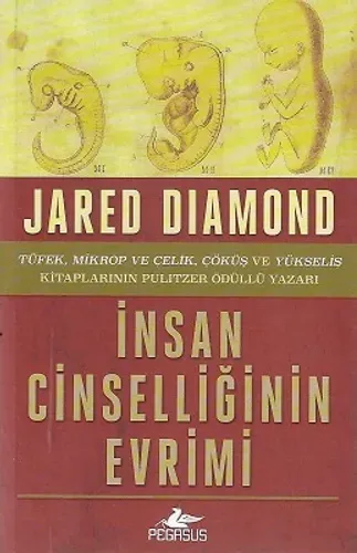 İnsan Cinselliğinin Evrimi