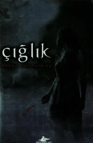 Hush Hush Serisi 4 Kitap (Ciltli) Becca Fitzpatrick Pegasus Yayıncılık