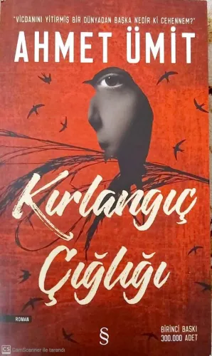 Kırlangıç Çığlığı