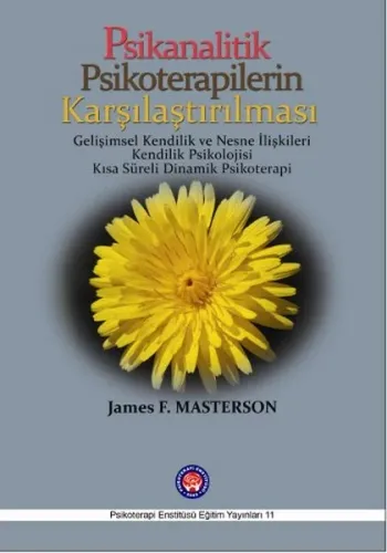 Psikanalitik Psikoterapilerin Karşılaştırılması