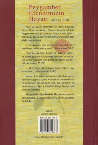 Peygamber Efendimizin Hayatı Siyer-i Nebi Mehmet Doğru Damla %55 indir