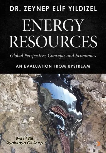 Energy Resources; Global Perspective, Concepts And Economics An Evaluatıon From Upstream