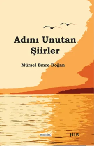 Adını Unutan Şİirler