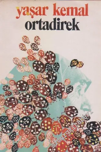 Ortadirek : Dağın Öte Yüzü 1 -        1980