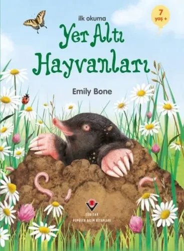 Yer Altı Hayvanları