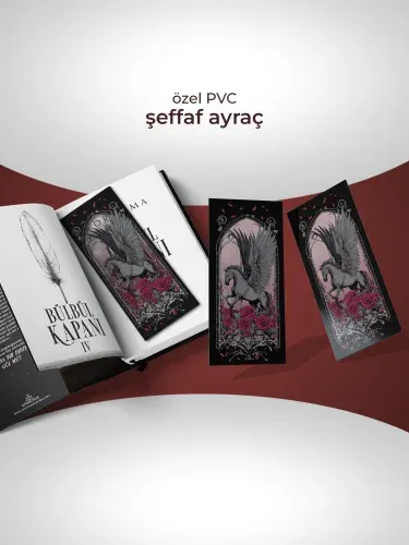 SET-BÜLBÜL KAPANI SERİSİ(4 KİTAP) MIKNATISLI KUTU-YAN BOYAMALI