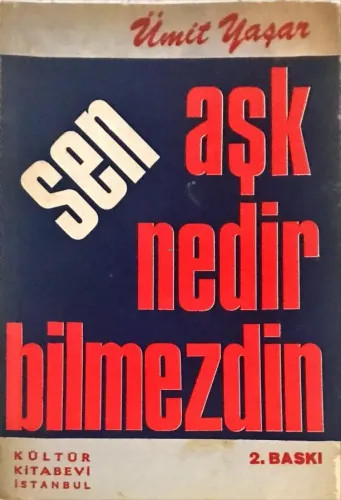 Sen Aşk Nedir Bilmezdin