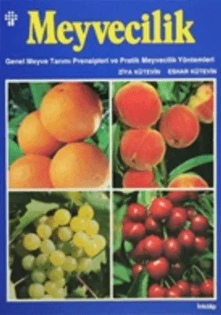 Meyvecilik