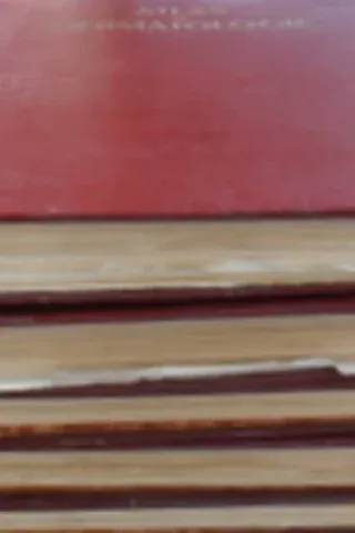 Atlas de Dermatologie 5 Cilt (Dermatoloji Atlası) Pierre De Graciansky Atlas de Dermatologie 5 Cilt (Dermatoloji Atlası) Pierre De Graciansky
