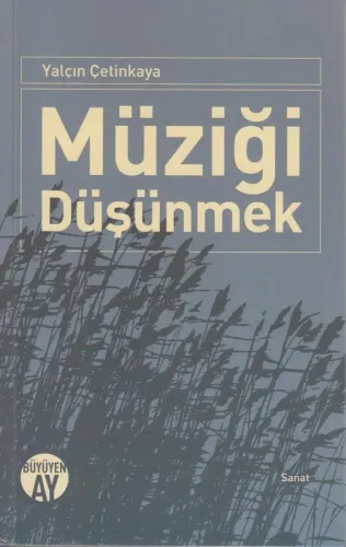 Müziği Düşünmek