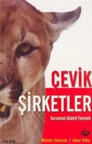 Çevik Şirketler