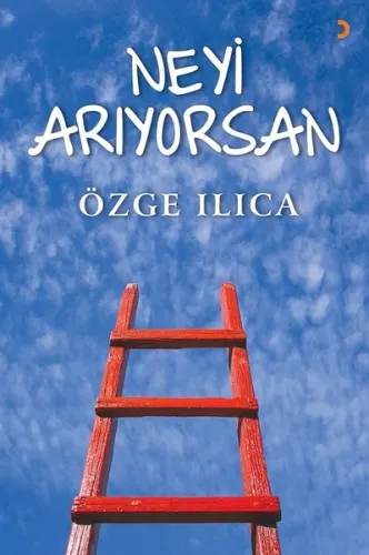 Neyi Arıyorsan