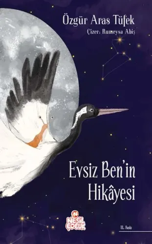 Evsiz Ben'in Hikâyesi