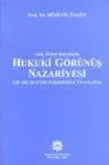 Hukuki Görünüş Nazariyesi, Türk Ticaret Hukukunda