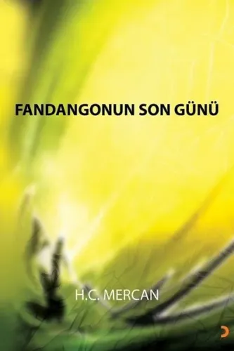Fandangonun Son Günü