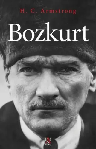 Bozkurt