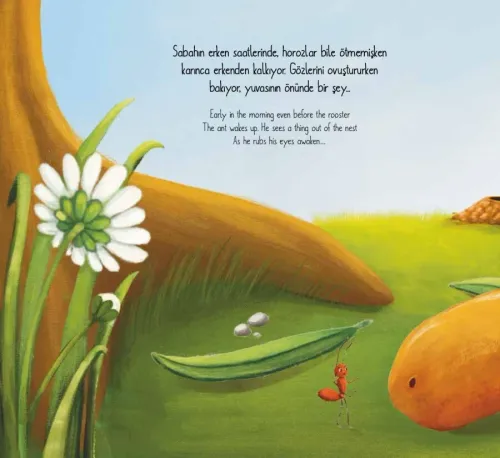 Kral İğde (Yaş: 3+) Nebahat Barış