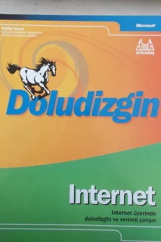 Doludizgin Internet