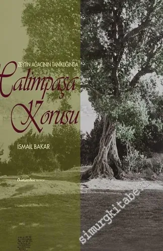 Zeytin Ağacının Tanıklığında Halimpaşa Korusu'nun Öyküsü -
