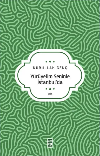 Yürüyelim Seninle İstanbulda