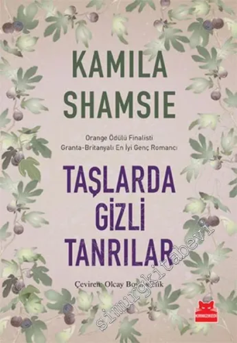 Taşlarda Gizli Tanrılar -         2016