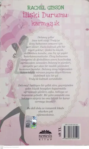 İlişki Durumu: Karmaşık Rachel Gibson Nemesis Kitap