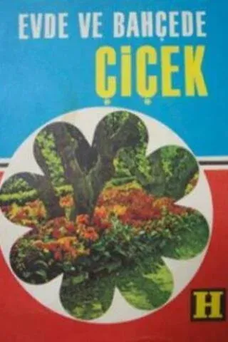 Evde ve Bahçede Çiçek