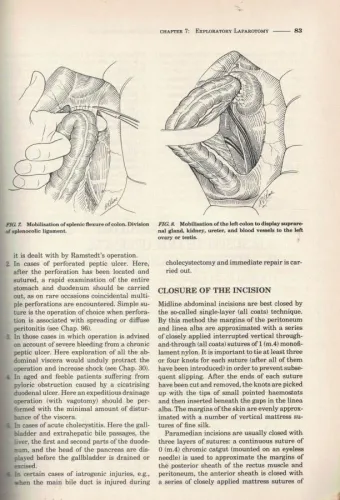Abdominal Operations Seventh Edition Volume One Rodney Maingot Appleto