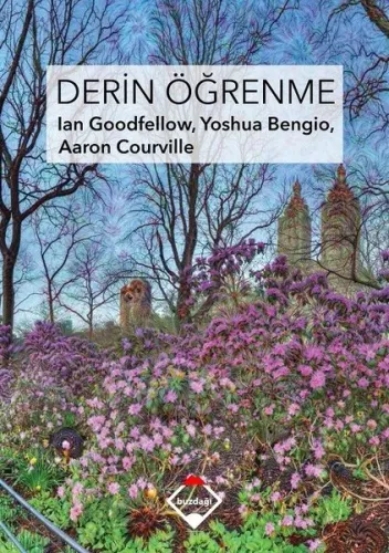 Derin Öğrenme