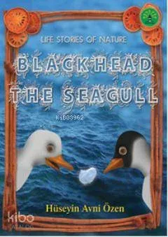 Blackhead The Seagull