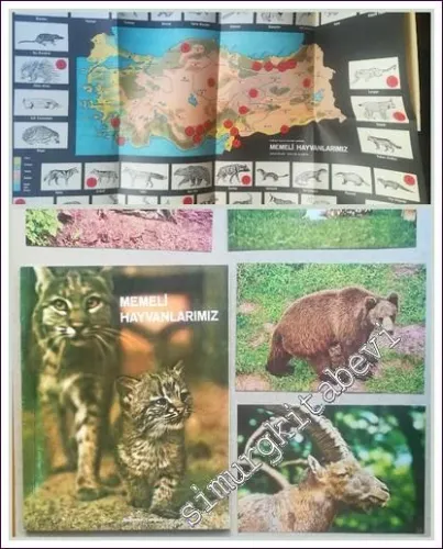 Memeli Hayvanlarımız, Ek: Türkiye Memeli Hayvanlar Haritası -        1972