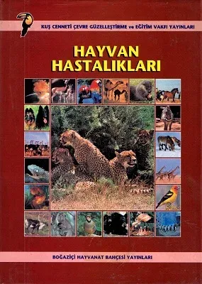 Hayvan Hastalıkları