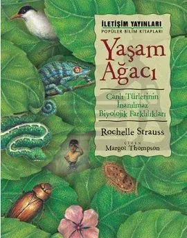 Yaşam Ağacı
