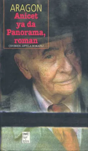Anicet ya da Panorama, Roman