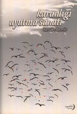 Karanlığı Uyutma Sanatı