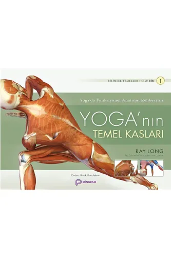 Yoga'nın Temel Kasları