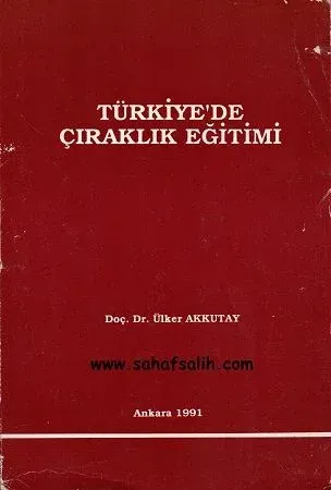 Türkiye'de Çıraklık Eğitimi