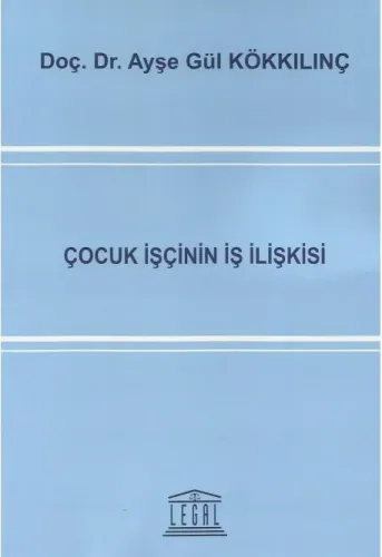 Çocuk İşçinin İş İlişkisi