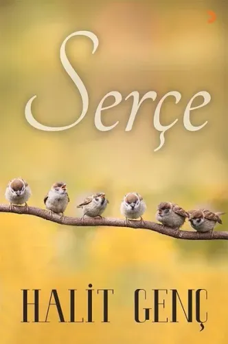 Serçe