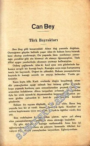 Gök Bayrak -