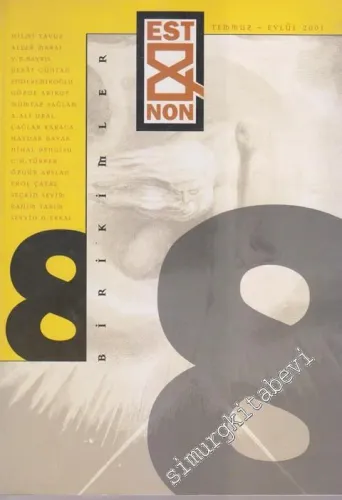 Est & Non Birikimler - 8      Temmuz - Eylül  2001