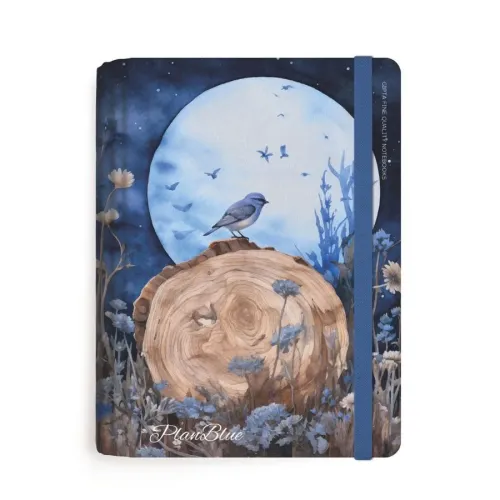 Gıpta Defter Plan Blue 13x21 Spiralli Sert Kapak 120 YP. Ç+K 7294