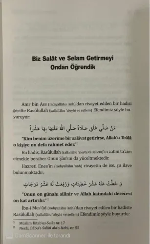 Rüyamda Rasulullahı Gördüm