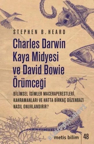 Charles Darwin Kaya Midyesi ve David Bowie Örümceği -
