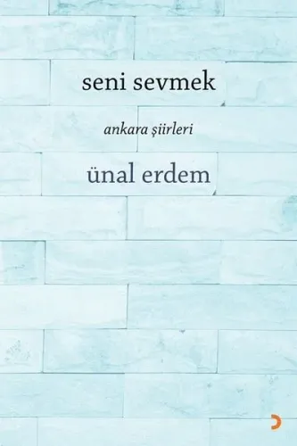 Seni Sevmek Ankara Şiirleri