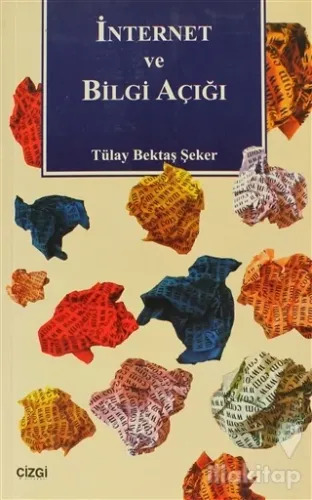 İnternet ve Bilgi Çağı
