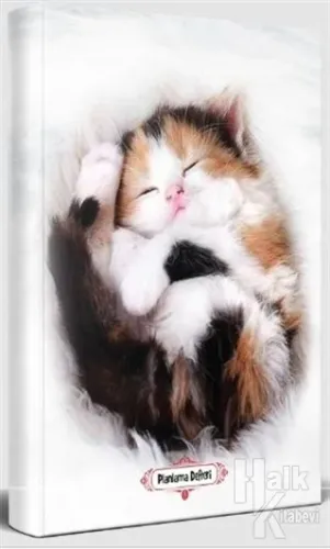 Uykucu Kedi - Planlama Defteri - Halkkitabevi