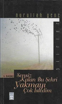 Sensiz Kalan Bu Şehri Yakmayı Çok İsterdim