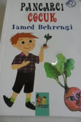 Pancarcı Çocuk
