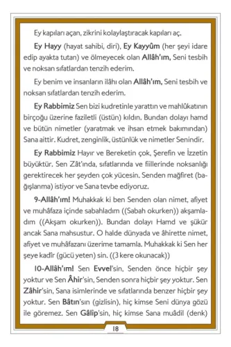 Evradı Behaiyye Arapça Türkçe Çanta Boy Ciltli Şahı Nakşibendi | Muham